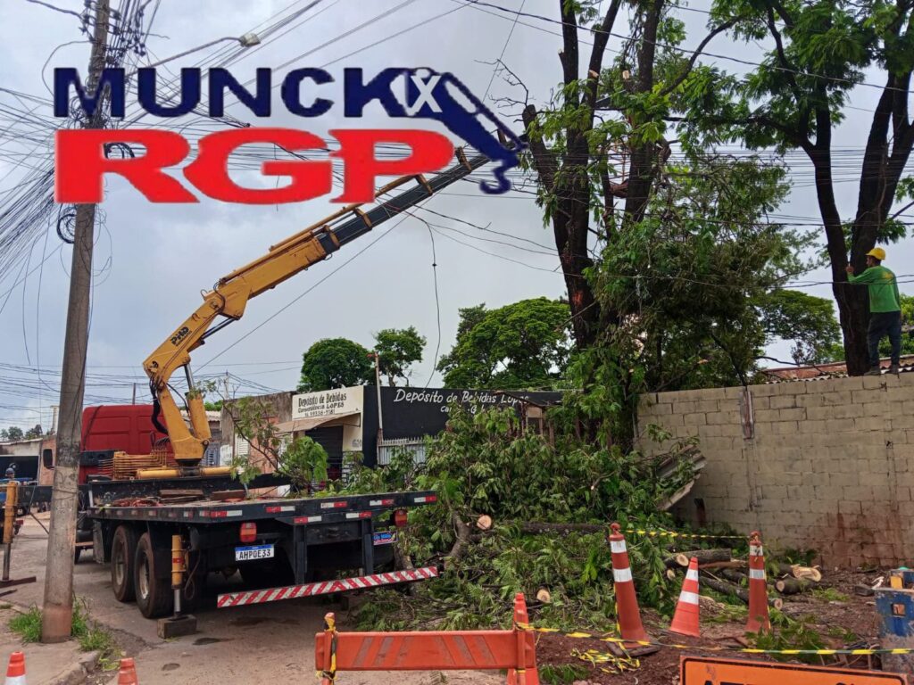 Munck em Ribeirão Preto equipe preparada para içamentos técnicos, remoções industriais e transporte de cargas especiais
